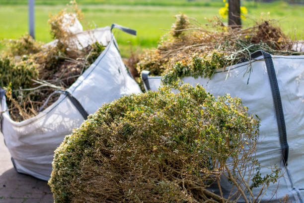 Attic Cleanout Services in Dwight, IL